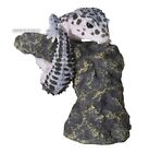 Load image into Gallery viewer, (Gashapon) Bandai - Yubinori Animaux Leopard & Crested Gecko