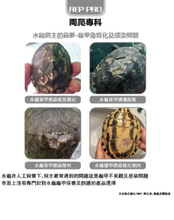 Load image into Gallery viewer, REP PRO - Liquid protective film for reptiles 20g
