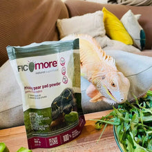 Load image into Gallery viewer, Ficomore DRIED SICILIAN prickly pear pad powder