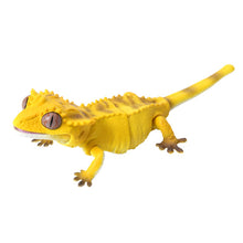 Load image into Gallery viewer, (Gashapon) CRESTED GECKO Capsule Toy Set of 5