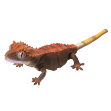 Load image into Gallery viewer, (Gashapon) CRESTED GECKO Capsule Toy Set of 5