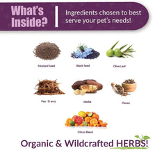 Load image into Gallery viewer, Amber Naturalz Kochi Free: Healthy Stools - for Pets, 1 Ounce