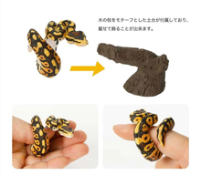 Load image into Gallery viewer, (Gashapon) Bandai - The Diversity Of Life On Earth Yubimaki Collection Armadillo Girdled Lizard & Ball Python