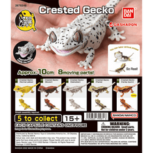 Load image into Gallery viewer, (Gashapon) CRESTED GECKO Capsule Toy Set of 5