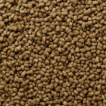 Load image into Gallery viewer, Mazuri Herbivorous Reptile Diet 8oz