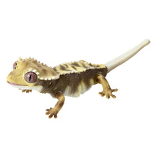 Load image into Gallery viewer, (Gashapon) CRESTED GECKO Capsule Toy Set of 5