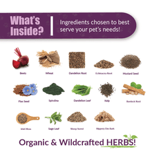 Load image into Gallery viewer, Amber Naturalz RADOX: Blood Support - 1 Ounce