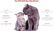 Load image into Gallery viewer, Amber Naturalz Kidney Rejuvenator: Safe & reliable kidney health for Pets, 1 Ounce