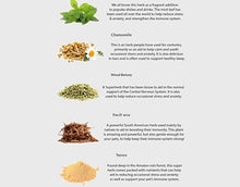 Load image into Gallery viewer, Amber Naturalz Kidney Rejuvenator: Safe & reliable kidney health for Pets, 1 Ounce