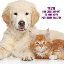 Load image into Gallery viewer, Amber Naturalz Amber Naturalz Life Cell Support: Liver Health - for Pets, 1 Ounce