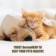 Load image into Gallery viewer, Amber Naturalz DermaNERV: Nerve Support - for Pets, 1 Ounce
