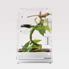 Load image into Gallery viewer, REPTIZOO Two-Way Acrylic Reptile & Insect Enclosure