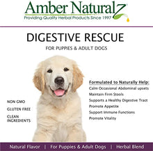 Load image into Gallery viewer, Amber Naturalz Paxaid: Digestive Rescue - for Dogs, 1 Ounce