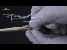 Load and play video in Gallery viewer, REPTIZOO Snake Sex Probe Speculum #SE001