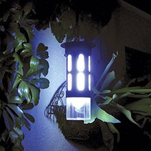 Load image into Gallery viewer, Zoo Med Bug Napper Live Bug Catcher