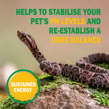 Load image into Gallery viewer, VETARK Reptoboost 100g