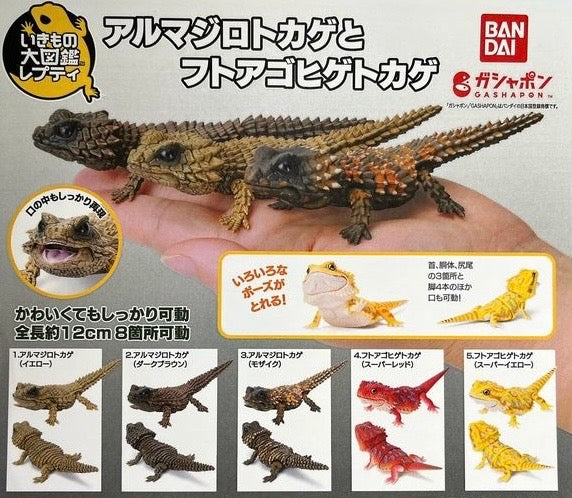 (Bandai Gashapon) Armadillo Lizard/Bearded Dragon - Random Signal Type (5 types in total)
