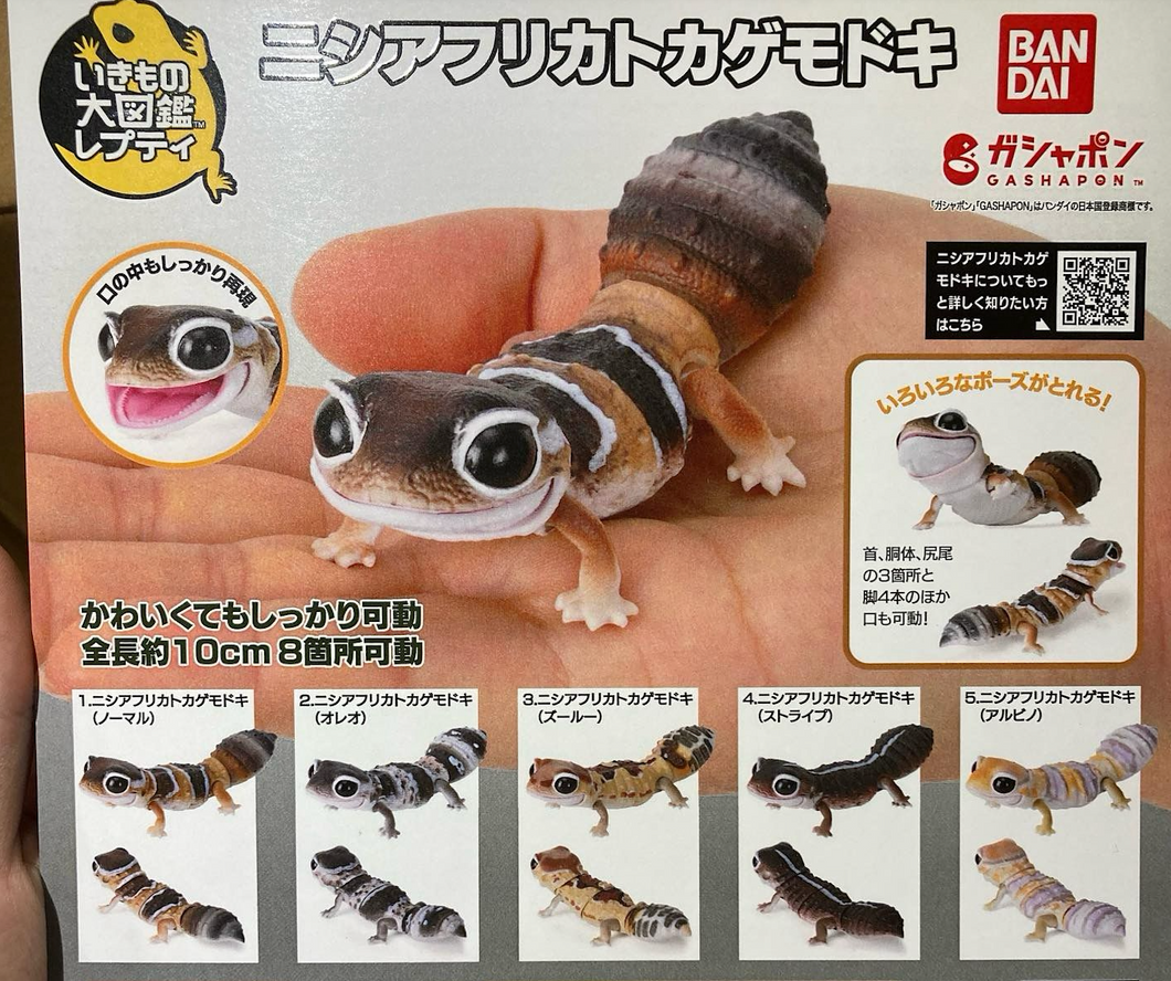 (Gashapon) Ikimono Encyclopedia African Fat-Tailed Gecko Capsule Toy Set of 5
