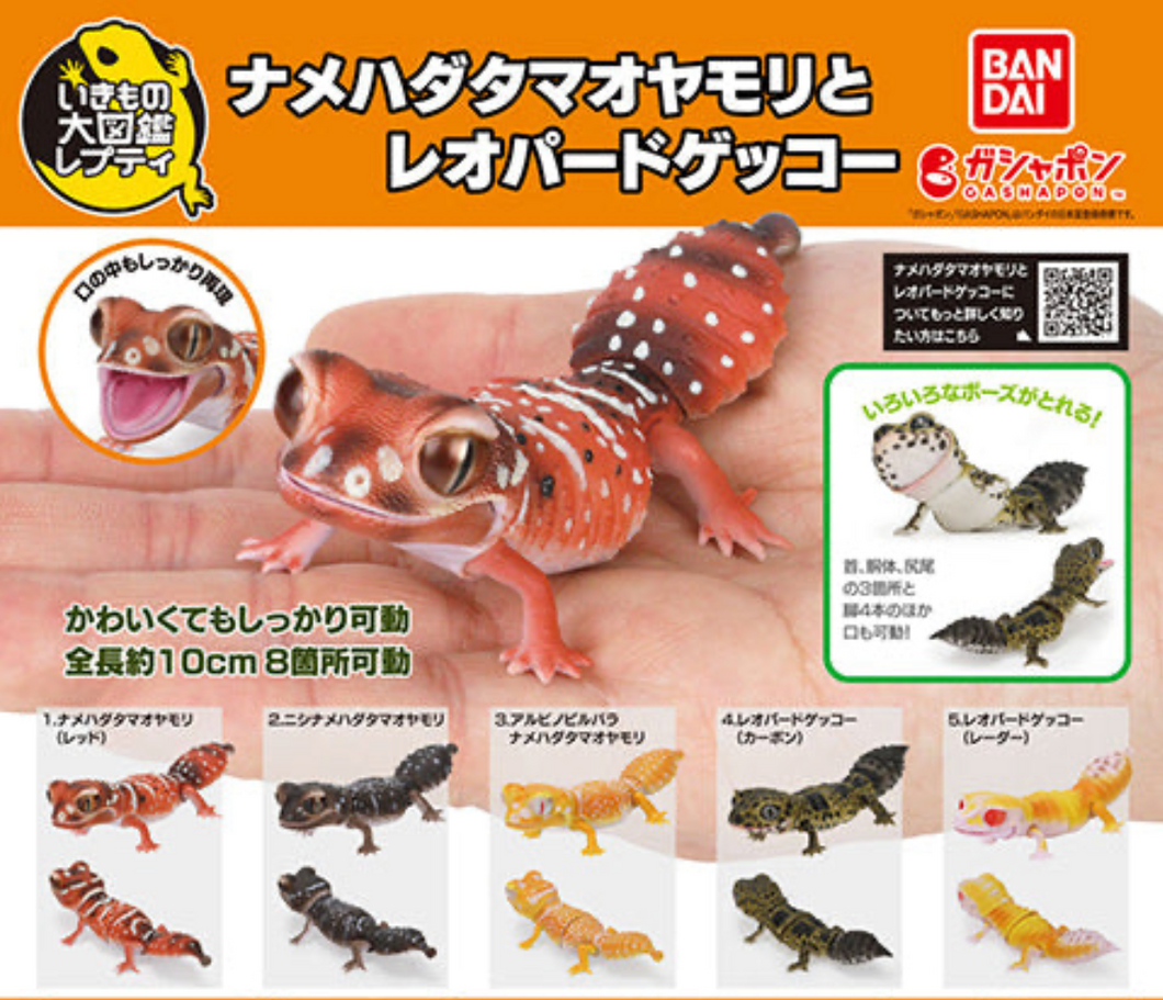 (Bandai Gashapon) The Diversity of Life on Earth Nephrurus Levis