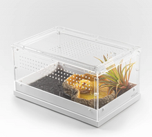 Load image into Gallery viewer, REPTIZOO Two-Way Acrylic Reptile &amp; Insect Enclosure
