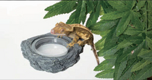 Load image into Gallery viewer, REPTIZOO ARBOREAL SINGLE \ DOUBLE FEEDER ROCK LEDGE MAGNETIC
