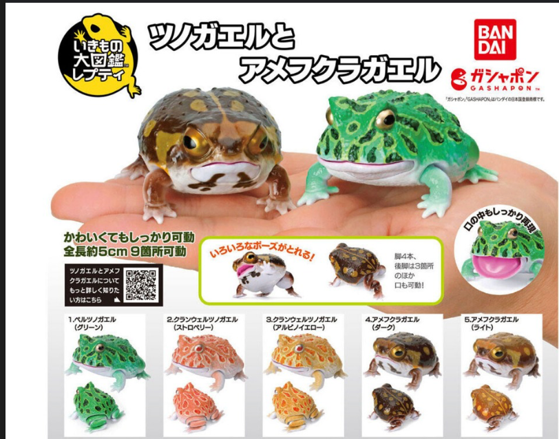 [Capsule Toy] The Diversity Of Life On Earth Repti Ceratophrys & Breviceps Adspersu - Random Signal Type