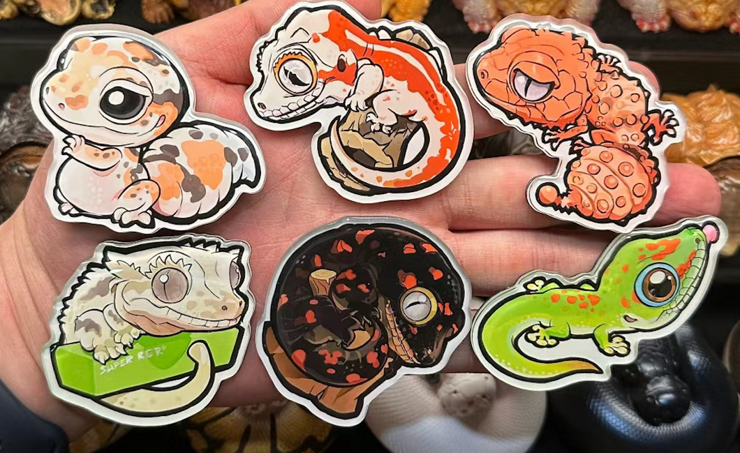 Reptile Magnetic & Air Freshener