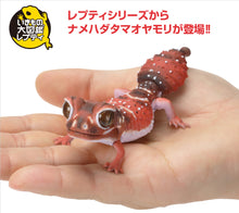 Load image into Gallery viewer, (Bandai Gashapon) The Diversity of Life on Earth Nephrurus Levis
