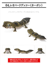 Load image into Gallery viewer, (Bandai Gashapon) The Diversity of Life on Earth Nephrurus Levis
