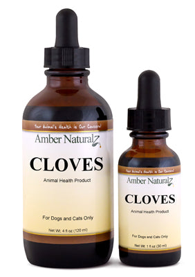 Amber Naturalz Cloves : Healthy Digestion, Immmune, Vitamins, Minerals, & Iron Support- 1 Ounce