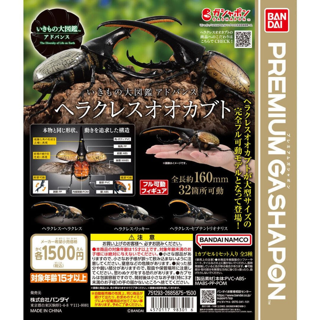 [Bandai Capsule] The Diversity Of Life On Earth Advance Dynastes Hercules - Random Signal Type