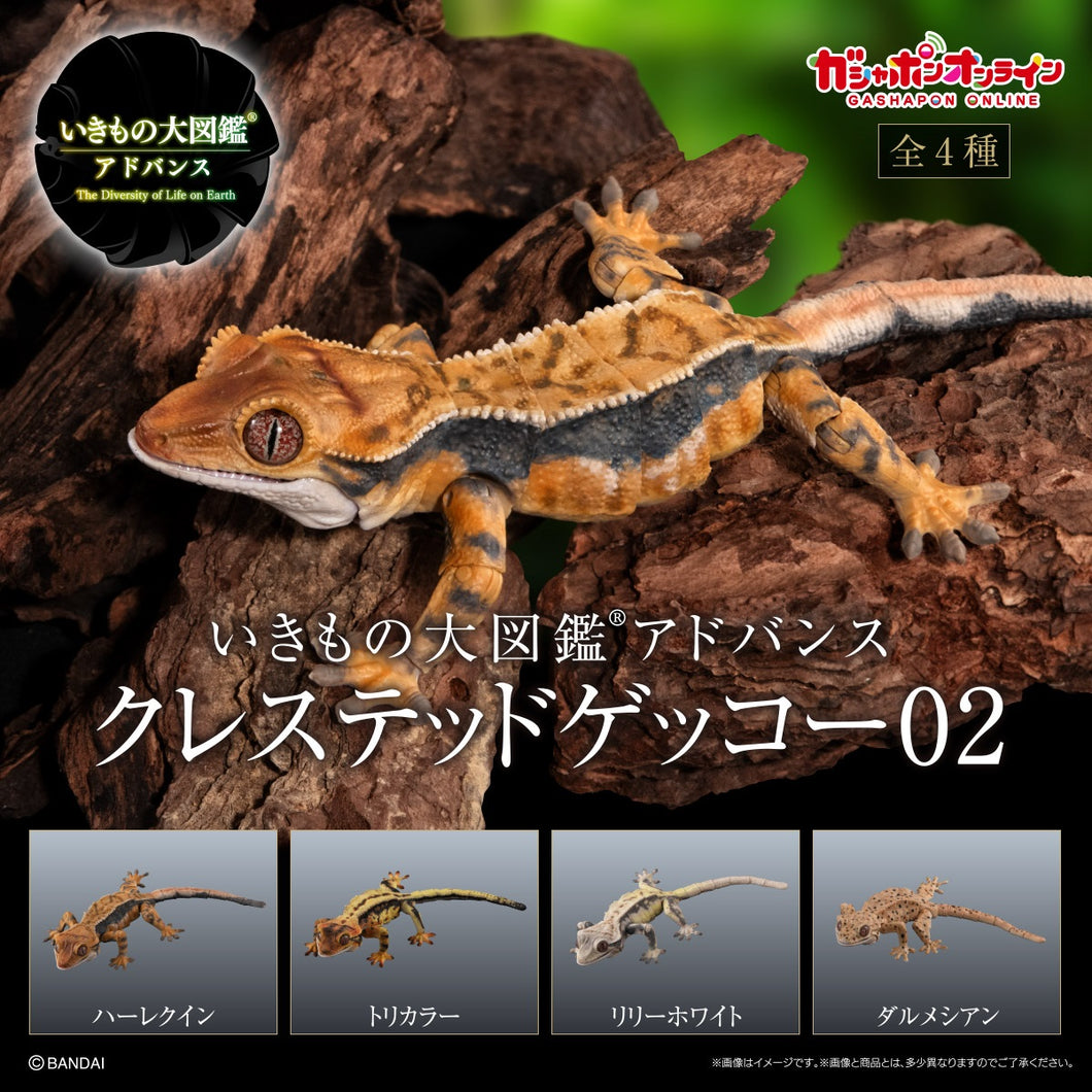 [Capsule Toy] The Diversity Of Life On Earth Crested gecko 02 - Random Signal Type