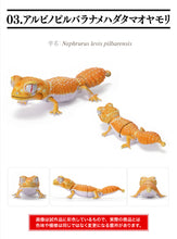 Load image into Gallery viewer, (Bandai Gashapon) The Diversity of Life on Earth Nephrurus Levis
