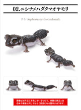 Load image into Gallery viewer, (Bandai Gashapon) The Diversity of Life on Earth Nephrurus Levis
