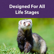 Load image into Gallery viewer, Mazuri Ferret Diet 5lb
