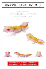 Load image into Gallery viewer, (Bandai Gashapon) The Diversity of Life on Earth Nephrurus Levis
