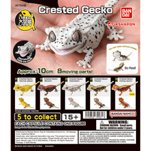 Load image into Gallery viewer, (Gashapon) CRESTED GECKO Capsule Toy Set of 5
