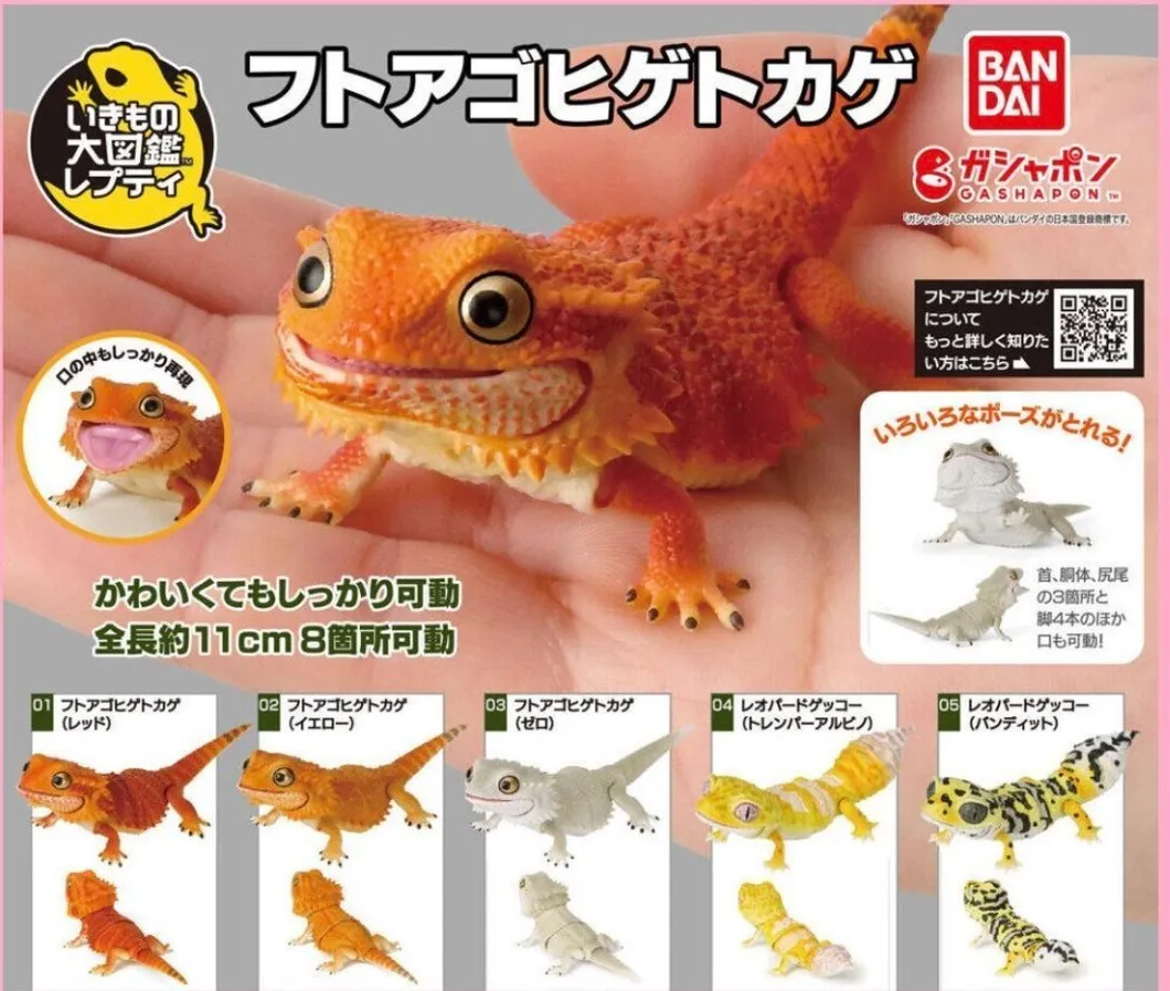 (Gashapon) Bearded Dragon/Leopard Gecko - Random Signal Type (5 types in total)