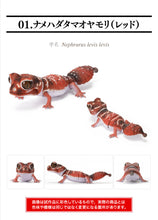 Load image into Gallery viewer, (Bandai Gashapon) The Diversity of Life on Earth Nephrurus Levis
