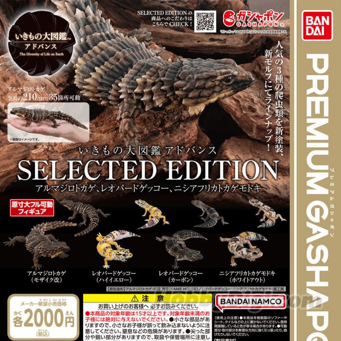(Gashapon) Bandai  - The Diversity Of Life On Earth Collected Edition Armadillo Lizard, Leopard Gecko, Fat-Tail Gecko