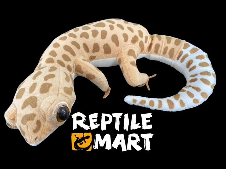 Leopard gecko doll 23cm