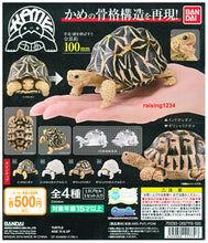 Load image into Gallery viewer, (Gashapon)Bandai Gashapon Kame 03 (4 types in total)
