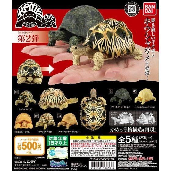 (Gashapon)Bandai Gashapon Kame 02 (5 types in total)