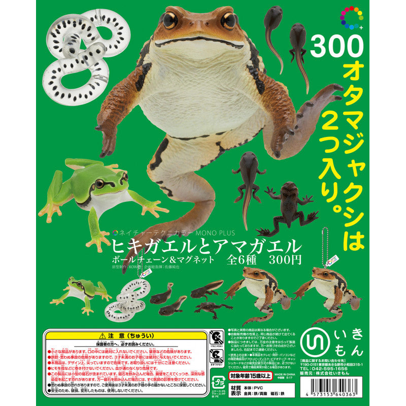 (Gashapon) Buho and rain frog ball chain (6 types in total ...