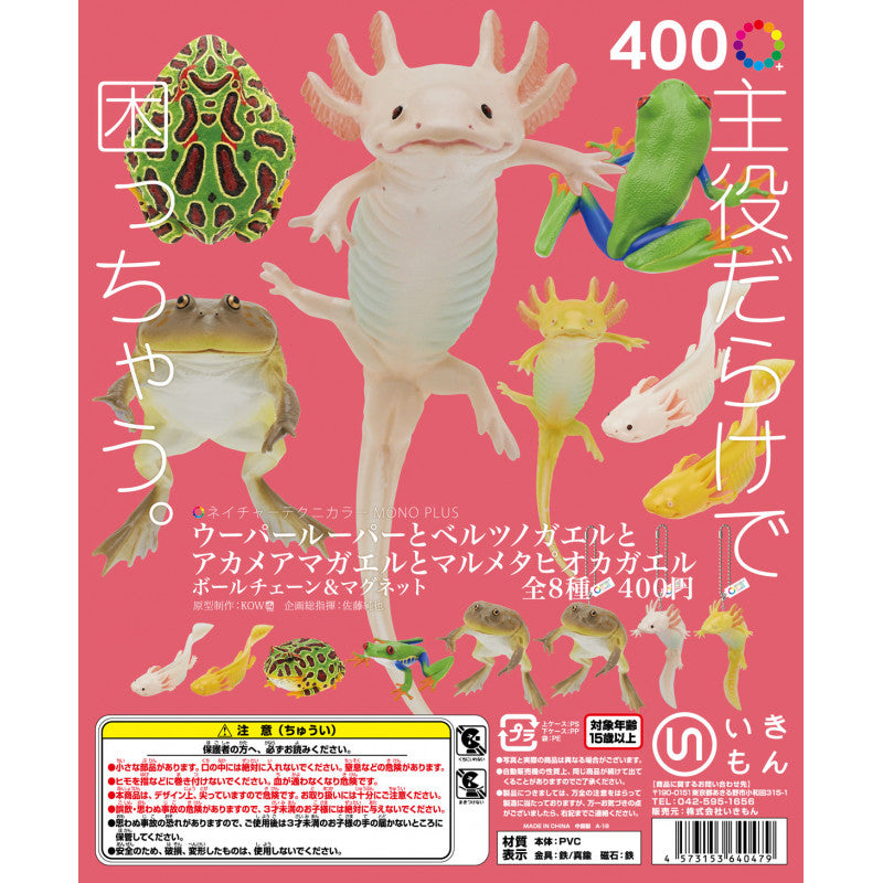 (Gashapon) Axolotl, Cranwell's horned frog, red-eyed treefrog and llanos frog (8 types in total)