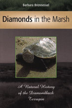 Load image into Gallery viewer, Diamonds in the Marsh
