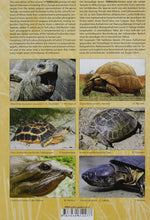 Load image into Gallery viewer, Turtles of the World Vol. 1 - Africa, Europe and Western Asia
