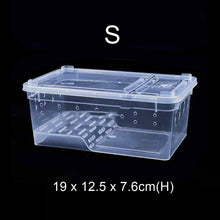 Load image into Gallery viewer, Hinged Lid Horned Frog Stackable Box
