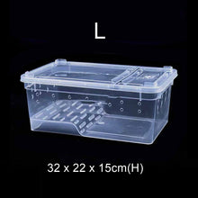 Load image into Gallery viewer, Hinged Lid Horned Frog Stackable Box
