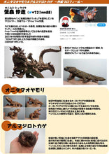 Load image into Gallery viewer, (Gashapon) Genuine 1:1 Gecko and Armadillo Lizard
